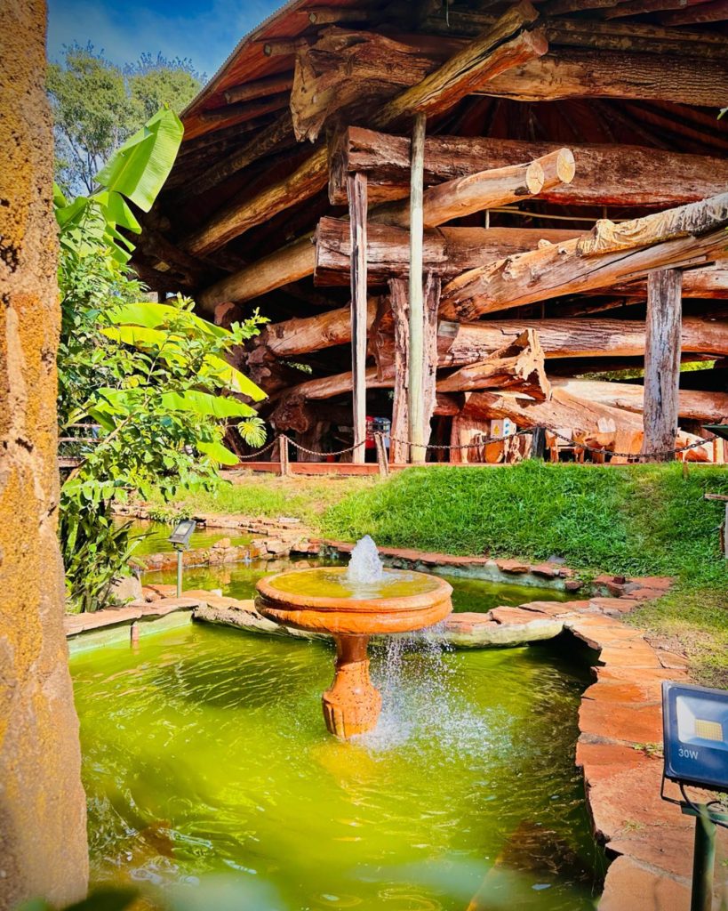 La-aripuca-fuente
