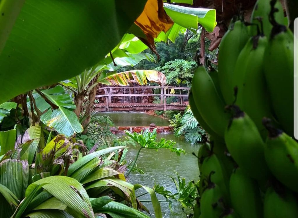 20190217_123654